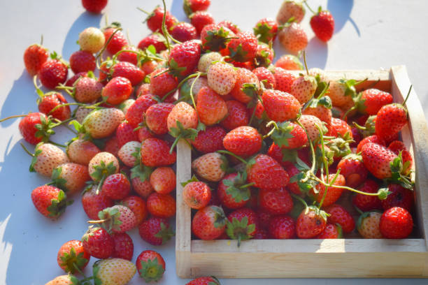 fondo di frutta alla fragola fresca - orgainic foto e immagini stock