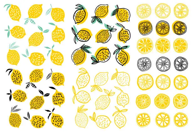 Vector illustration of Lemon vector illustration