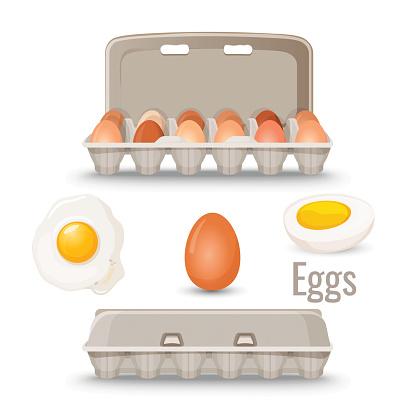 Eggs in shell inside cardboard container and cooked, fried and boiled, isolated vector illustrations on white background. Natural organic edible product.