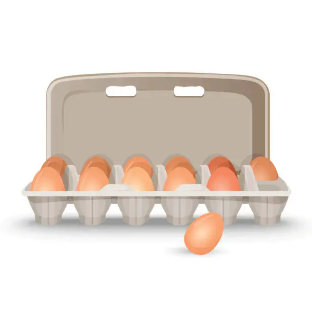 Vector illustration of Raw eggs in shell inside simple cardboard box