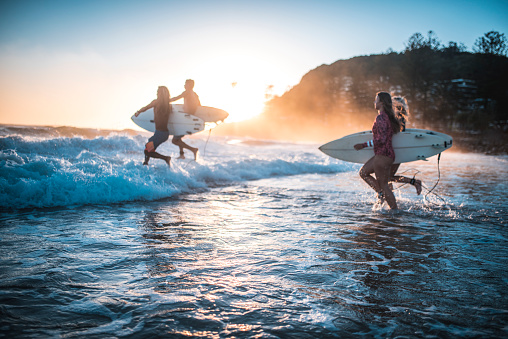 Four friends, surfers, running into the water early in the morning with surfboards in their hands. Sun is rising in back.
