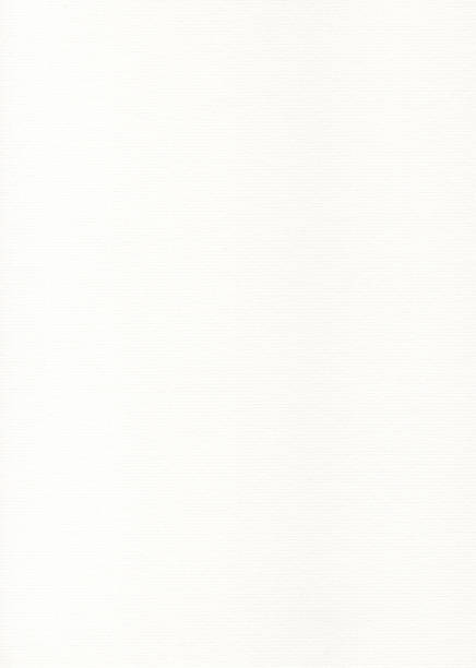istock Textured paper - laid white sheet 909575484