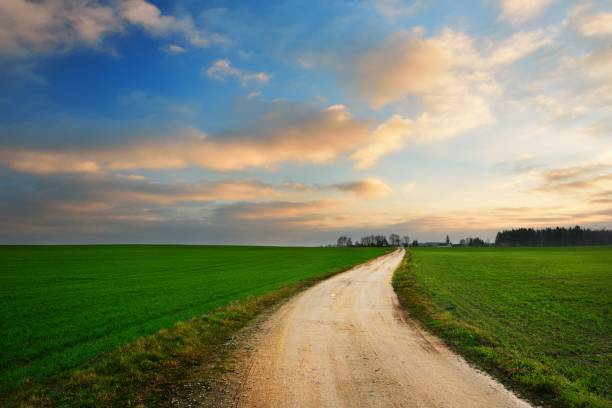 istock Beautiful sunrise over the green field in Lithuania 909575556