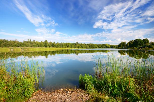 istock Lake landscape with beautiful reflection of a sky 909575634