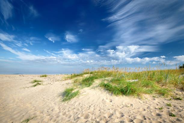 istock Baltic sea shore sandy beach against blue sky 909575658