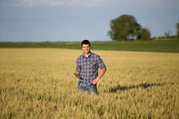 istock Farmer with tablet in wheat field 909579048