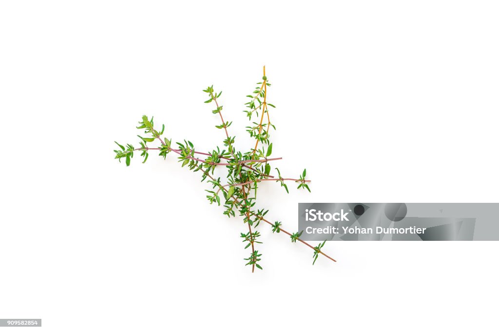 Fresh branches with leaves of organic thyme seen from above isolated on a white background. Fresh branches with leaves of organic thyme seen from above isolated on a white background. Horizontal composition. Top view Thyme Stock Photo