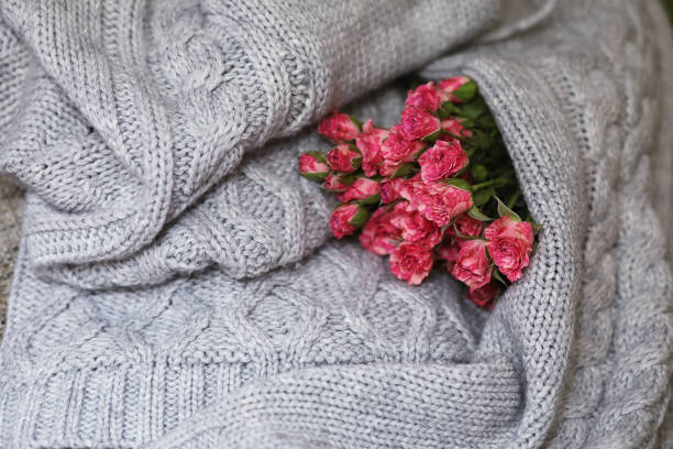 istock Bouquet of red roses on textile sweater 909582984