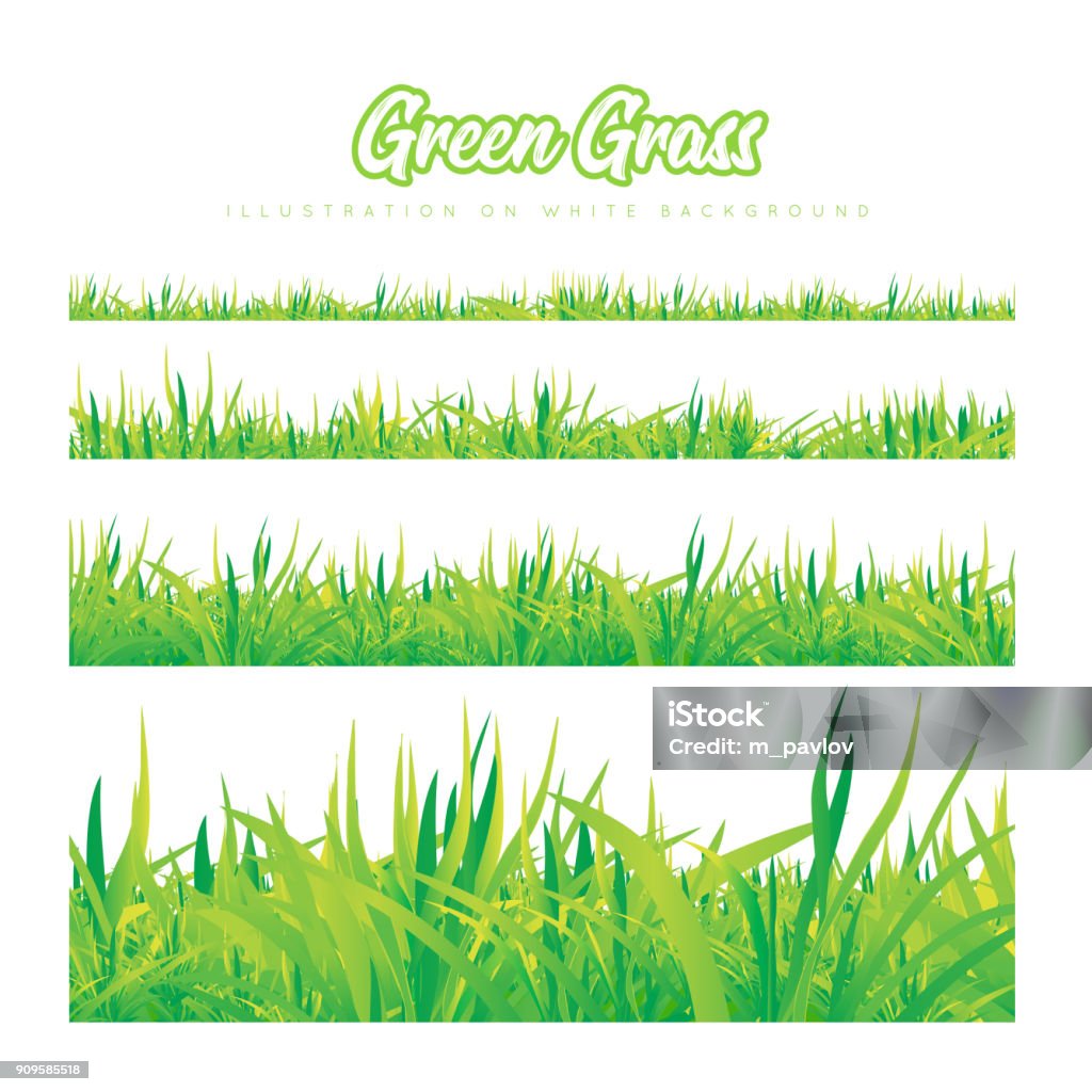 Green grass of different heights Green grass of different heights. Realistic vector illustration on white background Grass stock vector