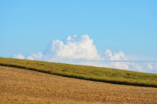 istock Field in the countryside area 909585608