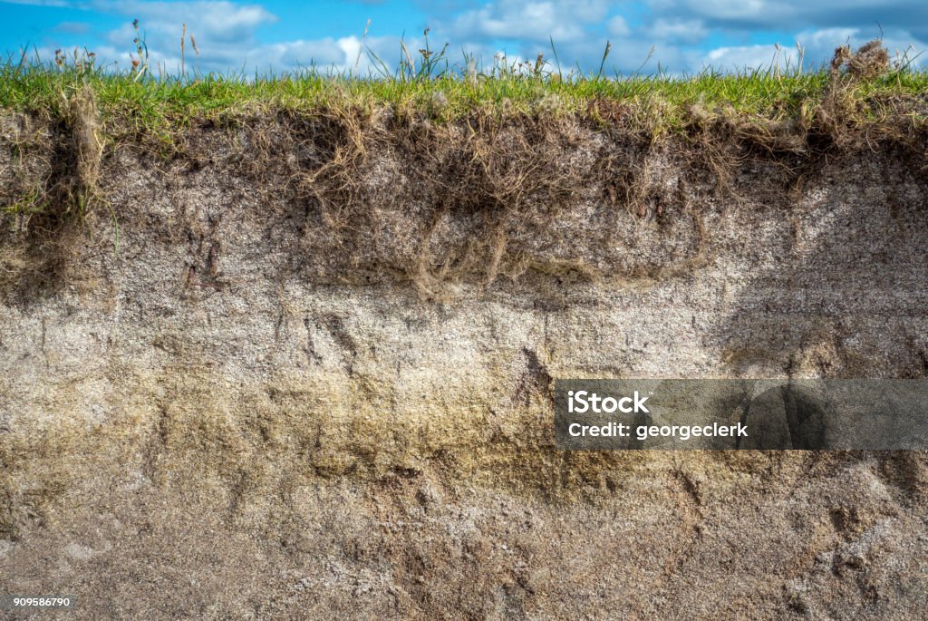 Sandy soil cross section A cross section of a sandy soil loam, with grass growing on the top. Dirt Stock Photo