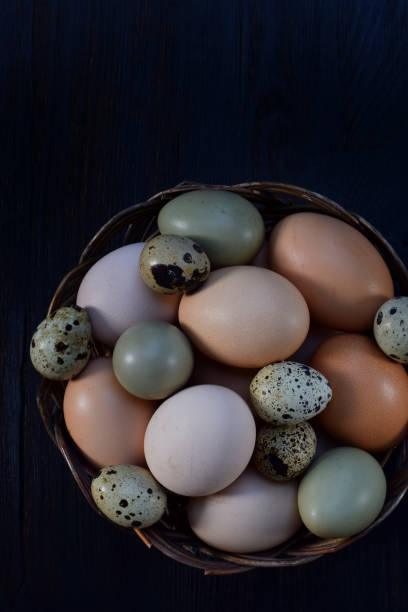 istock Set of different types birds eggs from chicken, pheasant and quail on a dark background 909588378