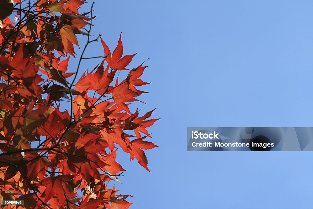 Fall in England  Autumn Stock Photo