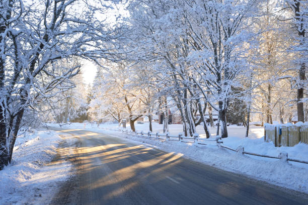istock Winter highway on a sunny day with snowy trees at sunset 909597024