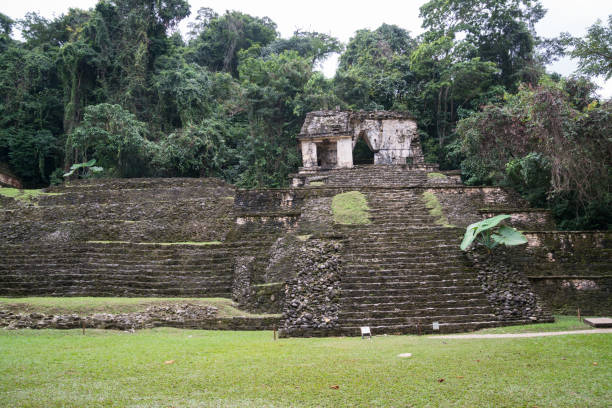 istock Palenque ruins, Mexico 909597818