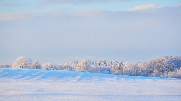 istock Winter wonderland on a clear meadow with a deciduous forest 909609030