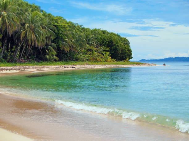 istock Tropical beach in Panama, Caribbean coast 909610480