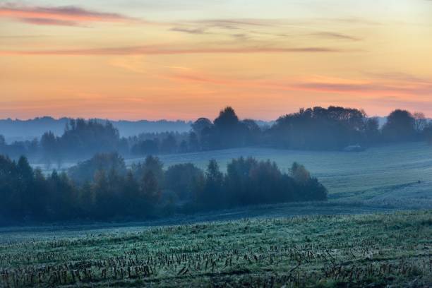 istock Field in the morning during Fall season 909614488
