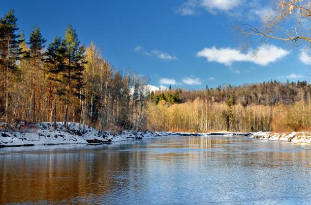 istock Gauja river valley winter landscape. Sigulda, Latvia 909614526
