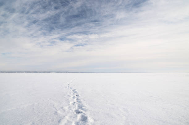 istock ice desert winter landscape 909618790