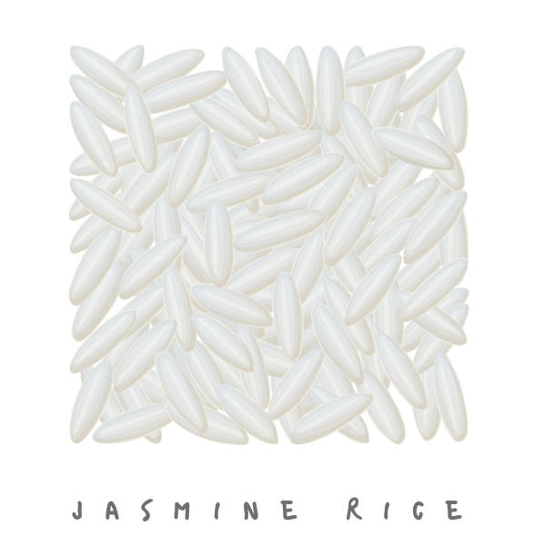 米正方形のアイコン。白い背景で隔離の漫画ベクトル図 - rice white rice backgrounds cereal plant点のイラスト素材／クリップアート素材／マンガ素材／アイコン素材