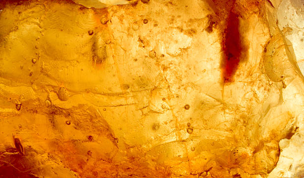 istock abstract of sunlight passed throughout rosin piece 90963015