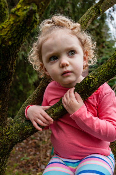 istock Toddler Sitting on Tree Branch 909634004