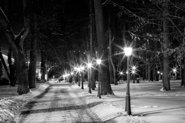 istock Winter park at night. Monochrome. 909634484