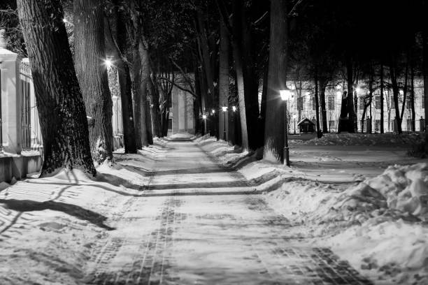 istock Winter park at night. Monochrome. 909634722