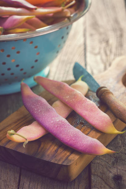 istock Fresh Organic Purple Beans 909635696