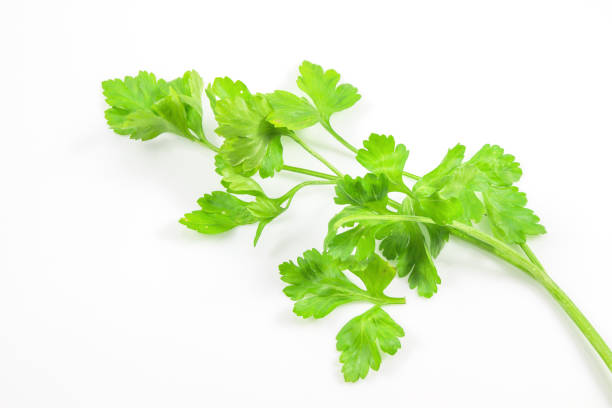istock Fresh green parsley isolated on a white background with a clipping path. 909635780