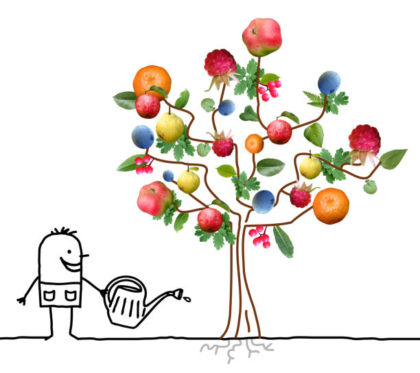 멀티 과일 나무를 급수 하는 만화 정원사 - agriculture branch cut flowers citrus fruit 뉴스 사진 이미지
