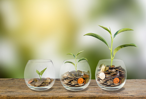 Investment concept. Growth plant on coins three step in clear glass bottle on wooden table with green blurred background and light. Conceptual saving money for growing business and future