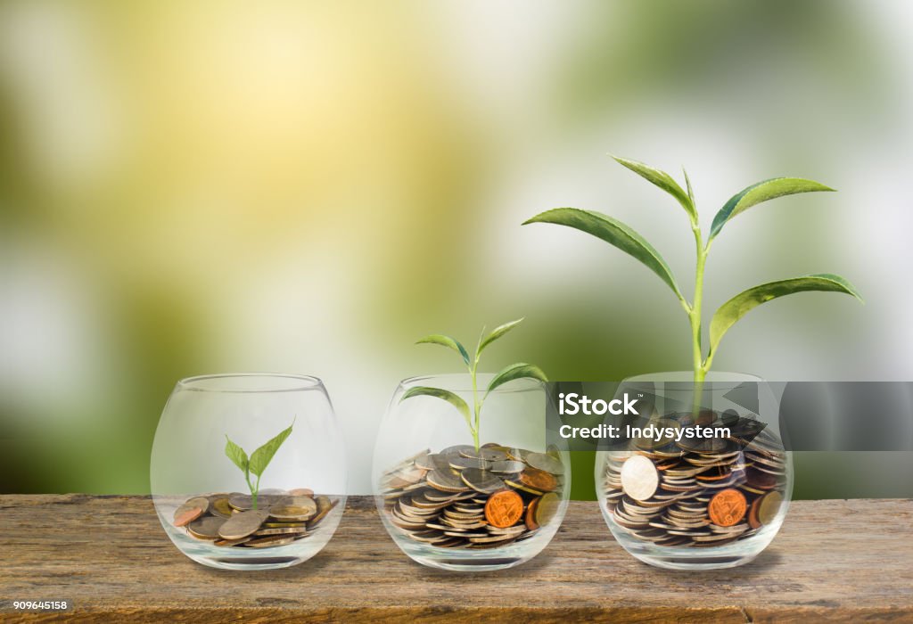 Investment concept. Growth plant on coins three step in clear glass bottle on wooden table with green blurred background and light. Conceptual saving money for growing business and future Picking Up Stock Photo