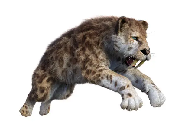 Photo of 3D rendering sabertooth tiger on white