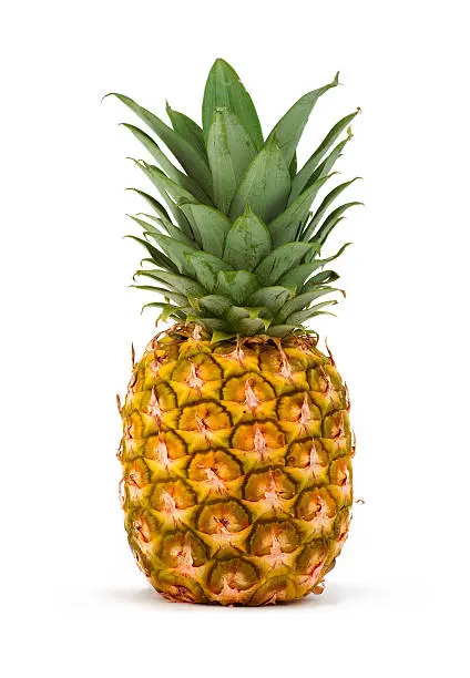 Photo of pineapple isolated