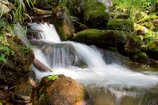 mountain stream stock photo