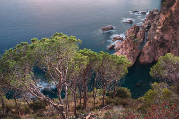 Coast landscape sunset of Costa Brava, Spain.