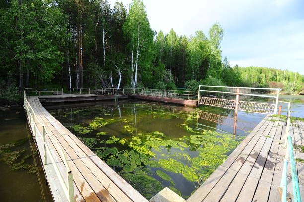 istock summer lake with green grass 909671698