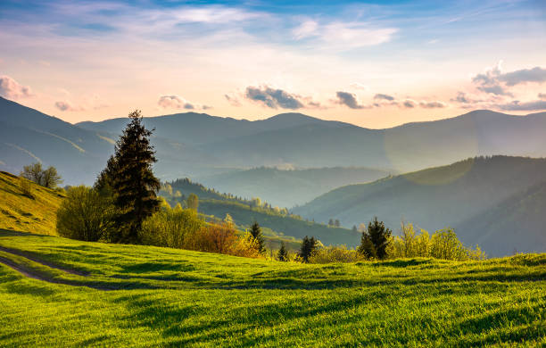 istock beautiful countryside in springtime 909674084