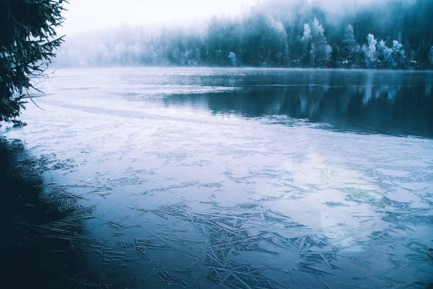 A mystical lake in Germany with forest and fog hanging over the water.