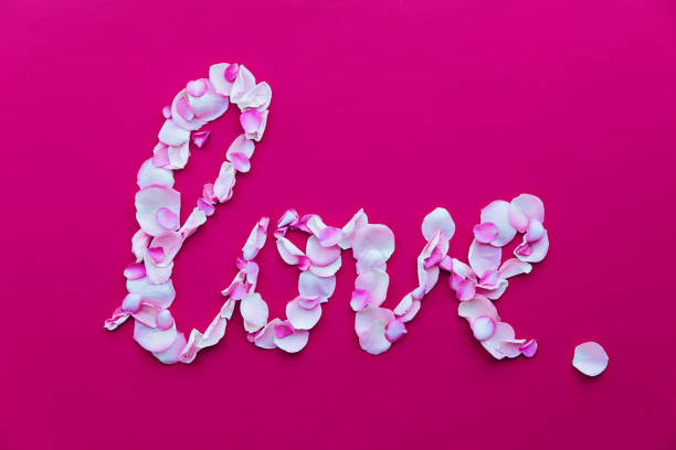 istock Love written in rose petals 909680654