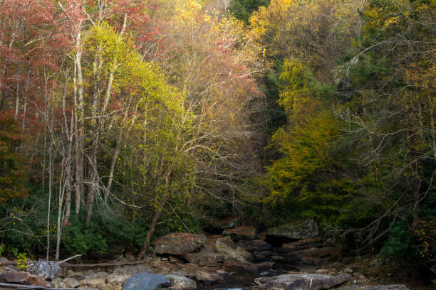 istock Glade Creek at Babcock State Park 909681066