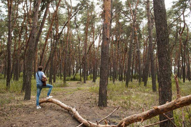 istock Talented guitarist playing forest hiking concept. 909682696
