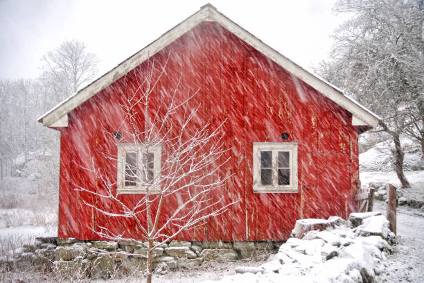 istock Old barn in a gloomy winterstorm 909688022