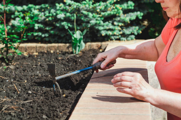 istock elderly woman handles land with hand hoe 909688962