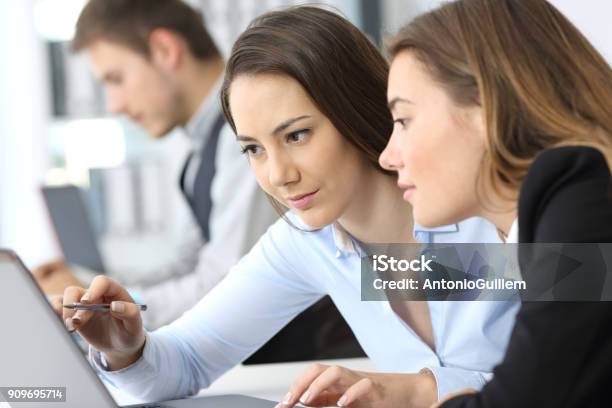 Businesswomen Working On Line Together Stock Photo - Download Image Now - Office, Expertise, People