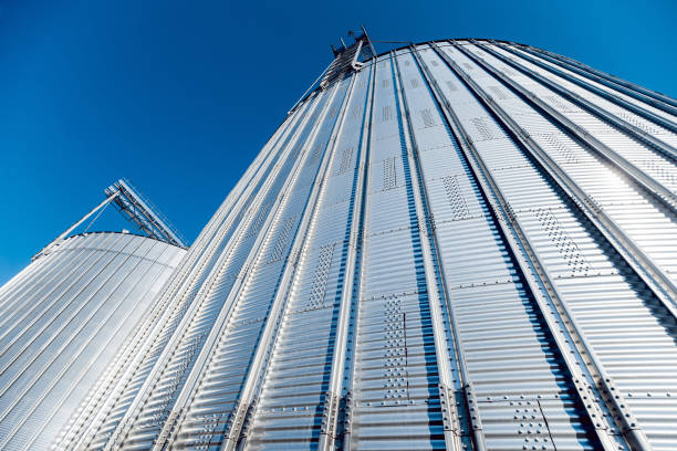 istock Modern silos for storing grain harvest. Agriculture. 909696214