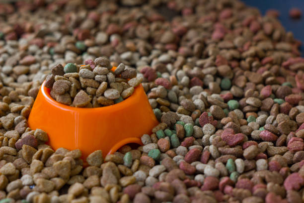 オレンジ色のプラスチック製のボウルは、猫と犬のための乾燥した食糧に囲まれた乾燥ペットフードでいっぱい。 - pet food animals feeding cat food cat bowl ストックフォトと画像