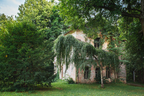 istock Abandoned house in the park 909701226